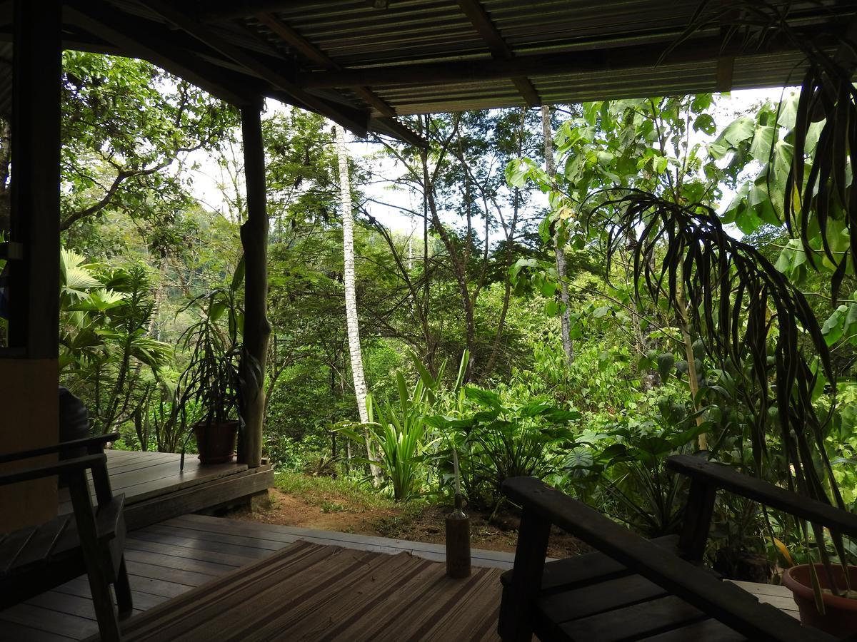 Amazonita Ecolodge Dos Brazos Екстер'єр фото